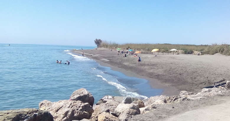 Agua turquesa en Playa para perros de Málaga