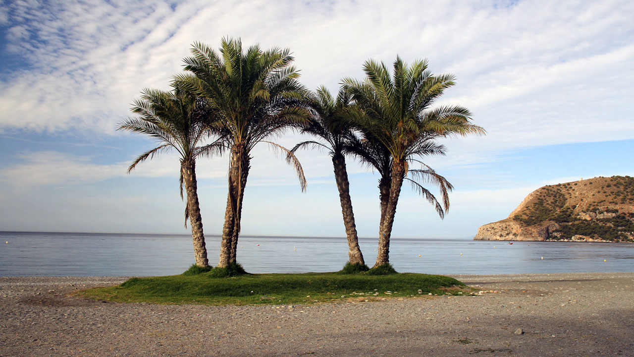 Playa La Herradura vista desde el acantilado