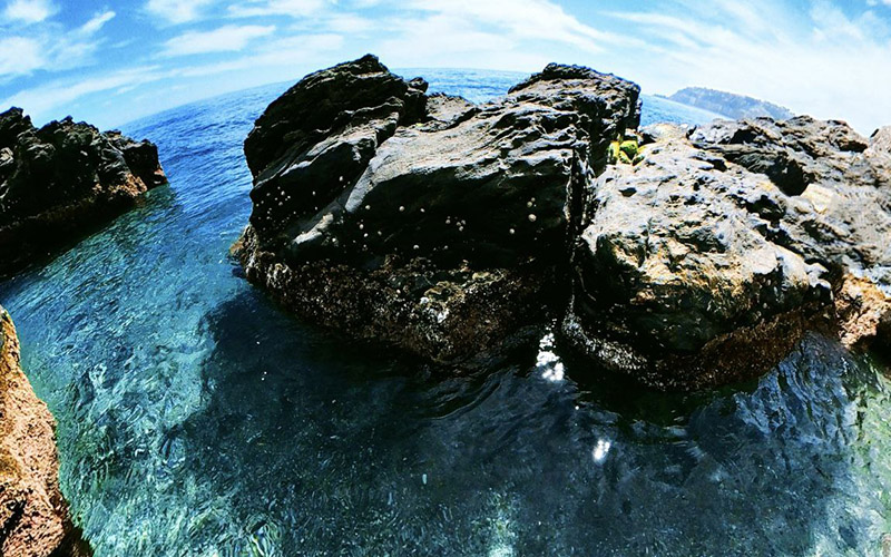 Playas de Granada: guía por provincias