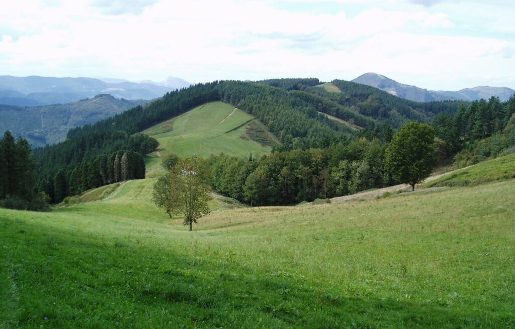 paisaje-de-monte-97-xl