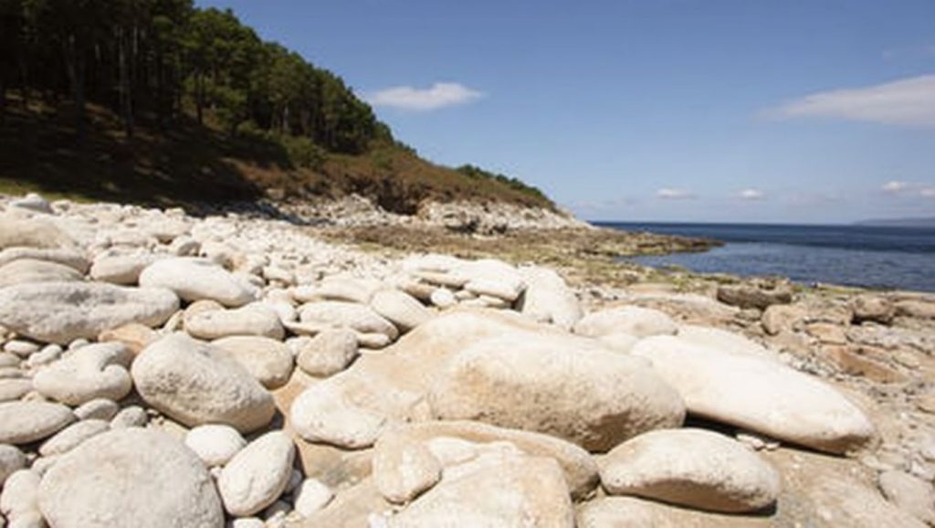 Entorno natural de A Area da Cantareira en Pontevedra
