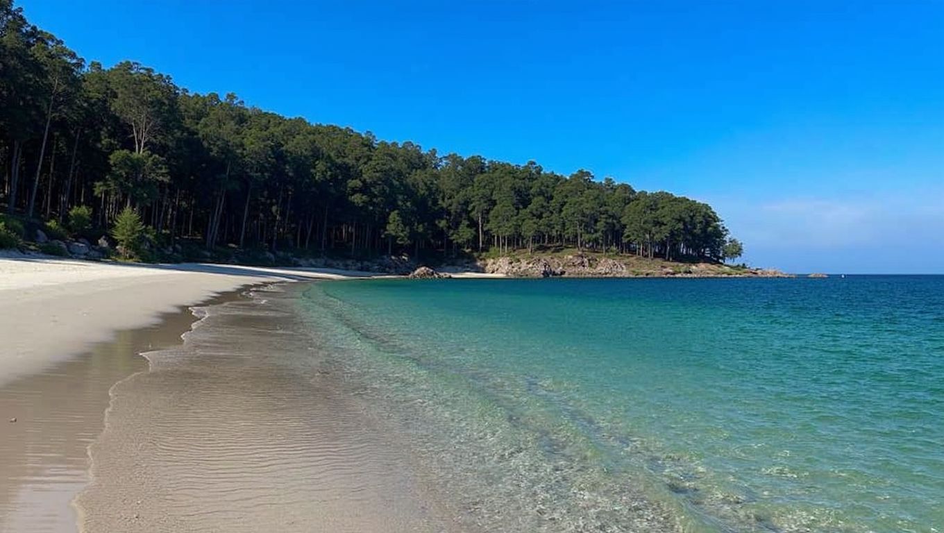 A Area das Figueiras (Vigo, Pontevedra)
