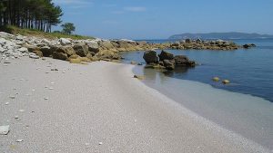 A Area das Margaridas (Vigo, Pontevedra)