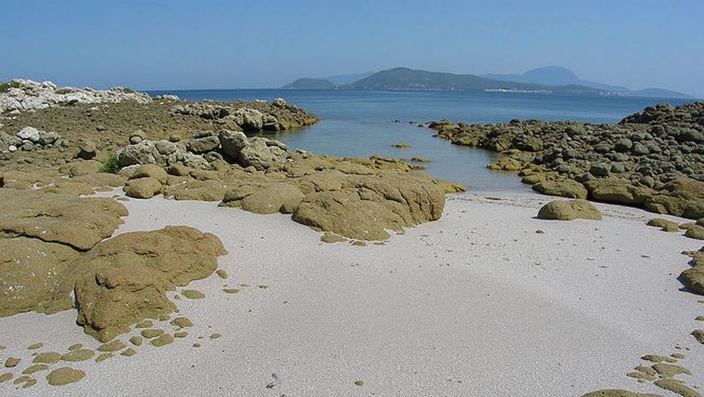 Panorámica de A Area das Margaridas, Pontevedra