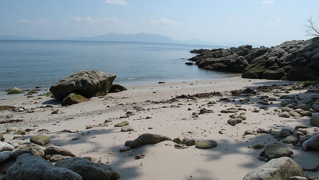 Costa de A Area das Margaridas en Vigo, Pontevedra