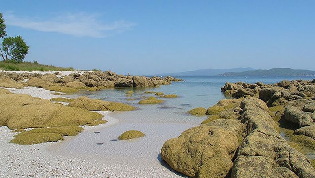 Aguas de A Area das Margaridas en Vigo (Pontevedra)