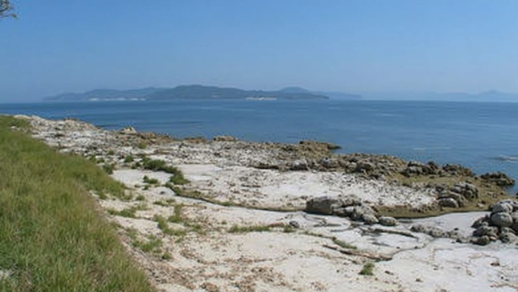 Arena de A Area das Margaridas, Vigo (Pontevedra)