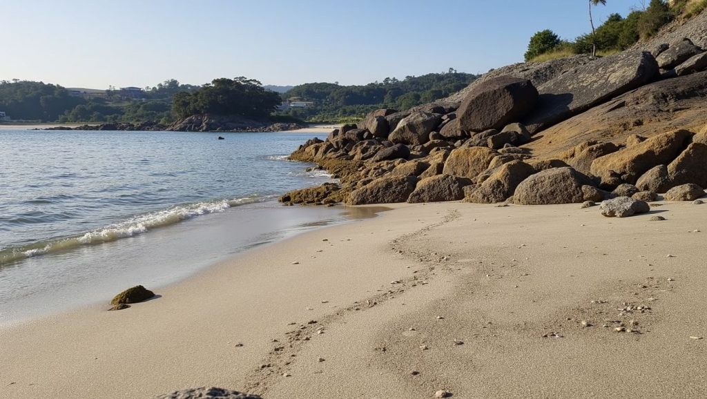 Panorámica de A Coviña, A Coruña