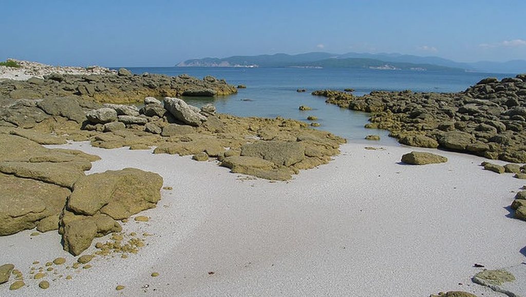 Area das Margaridas en Vigo (Pontevedra)