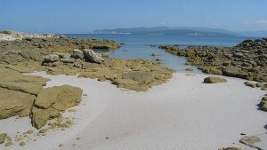 Area das Margaridas (Vigo, Pontevedra)