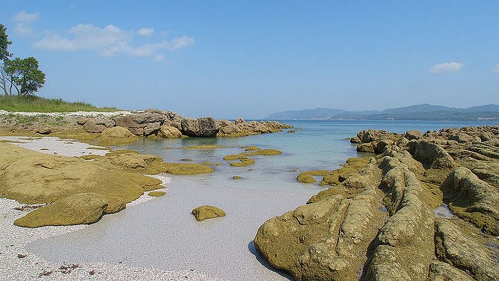 Costa de Area das Margaridas en Vigo, Pontevedra