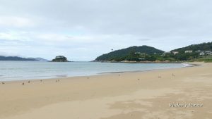 Praia de Area