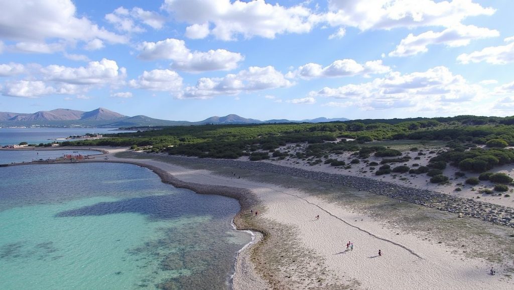 Arena y orilla en Arenal d'en Casat, Santa Margalida, Mallorca