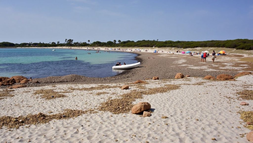 Vista del entorno de Arenal dels Ases, Ses Salines, Mallorca