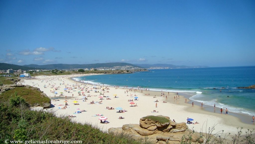 Foto de areoura
