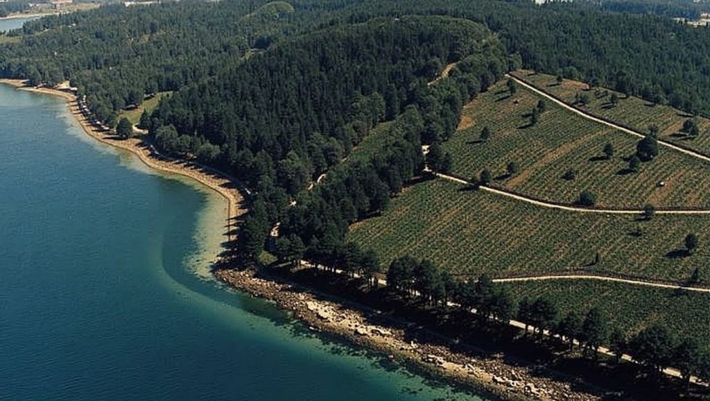 Arena de Ariña Branca, Camariñas (A Coruña)
