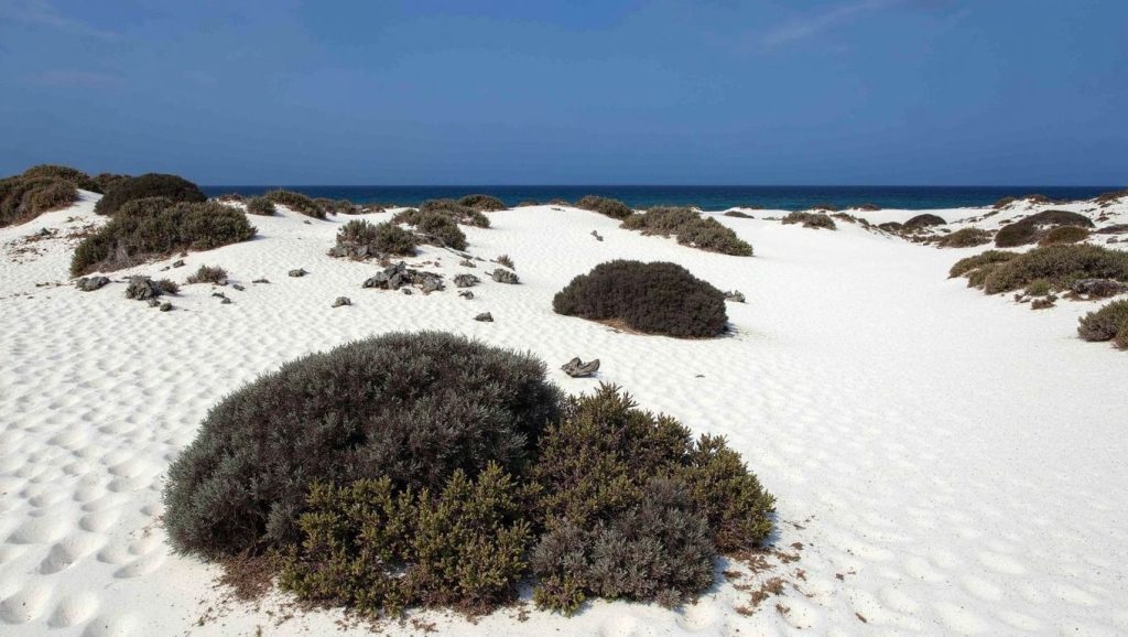 Arena de Bajo de los Sables, Haría (Lanzarote)