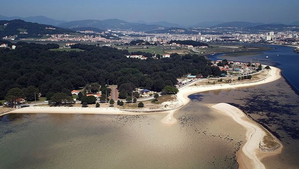Foto de cabecina