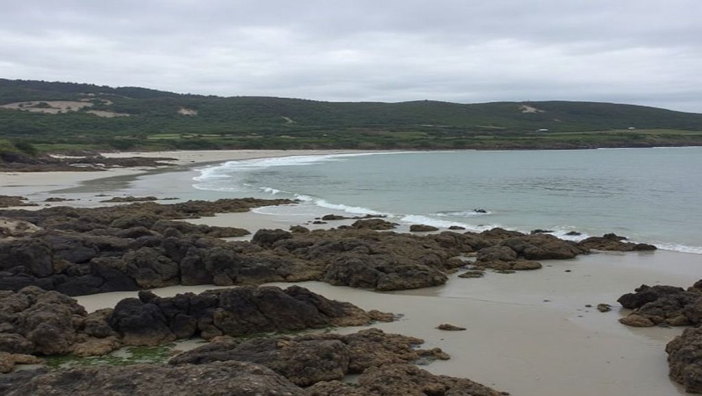 Foto de caion