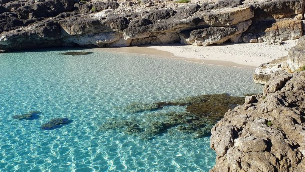 Caló Fondo — foto 6 de 6