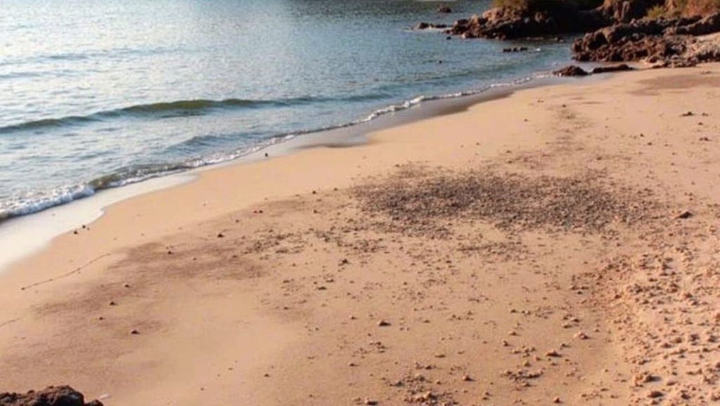 Cala Arena — foto 4 de 6