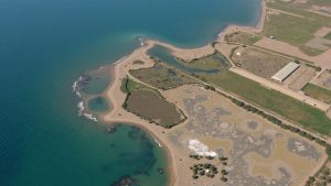 Cala de Perros Invencible