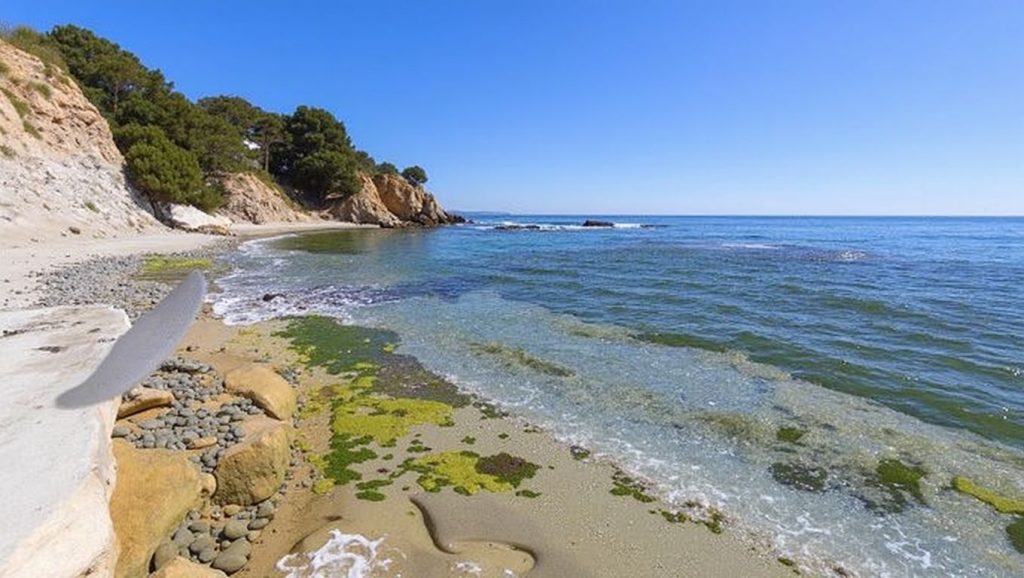 Cala dels Pinets — foto 1 de 6