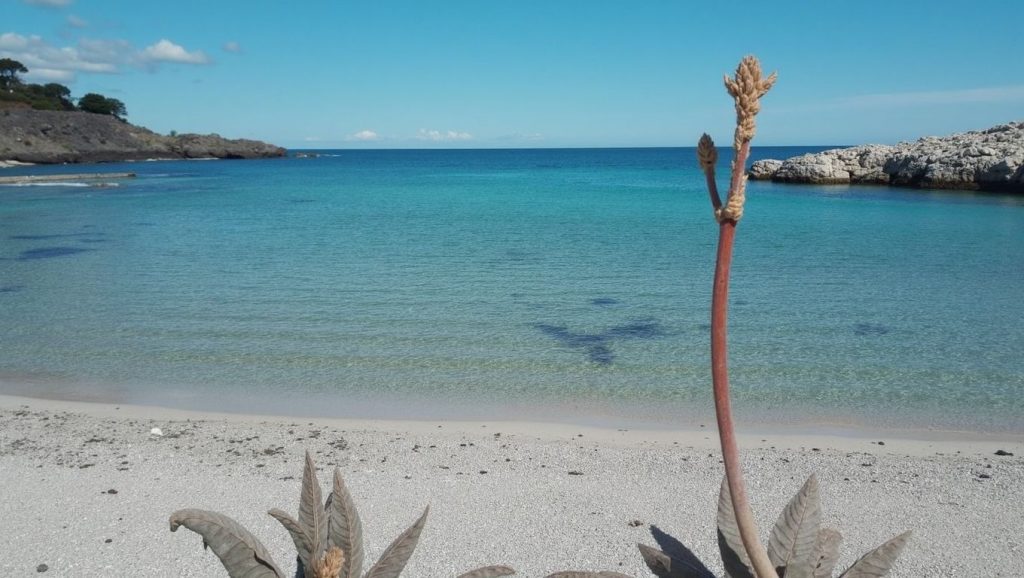 Horizonte desde Cala Domingos, Manacor, Mallorca
