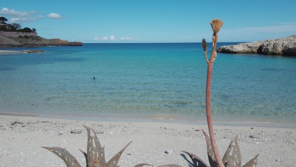 Arena fina en Domingos, Manacor, Mallorca