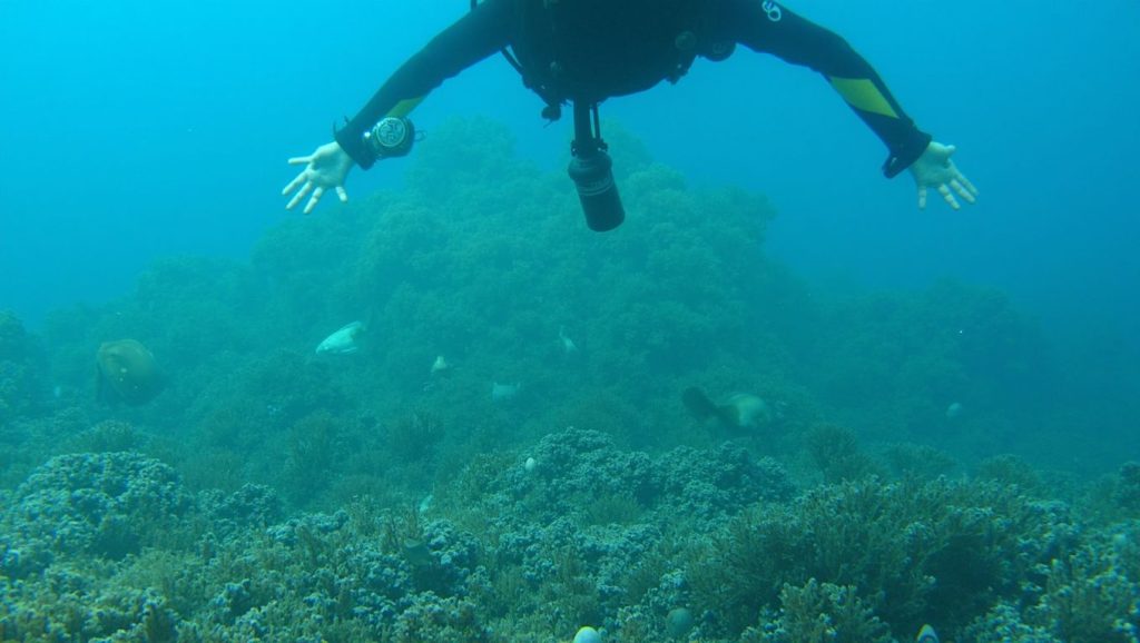 Cala el Racó — foto 6 de 6