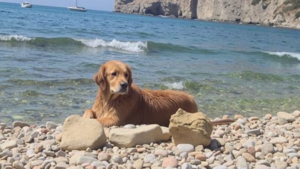 Cala les Urques — foto 4 de 6