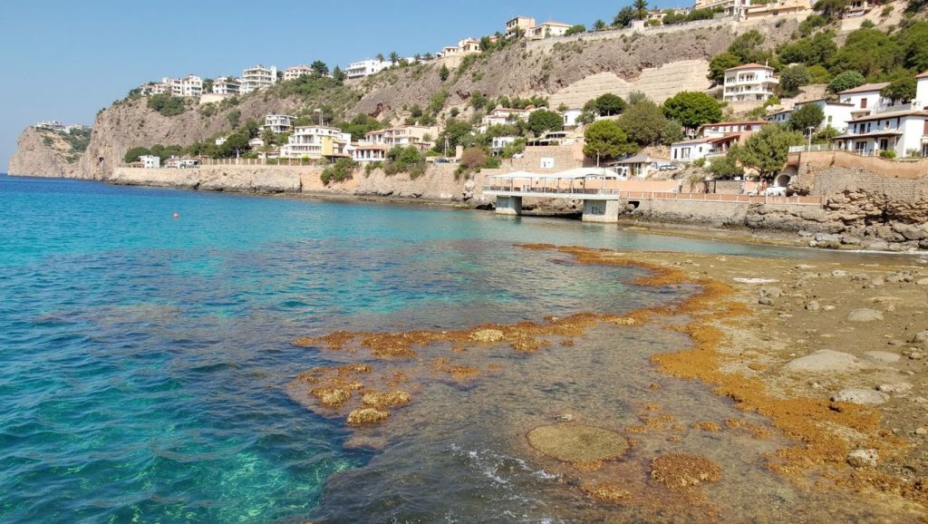 Cala Llamp (Andratx) — playa en la costa de Mallorca