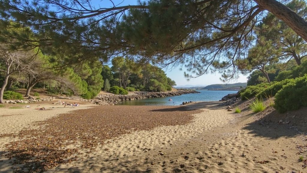 Arena y mar en Cala Mondragó, Santanyí, Mallorca