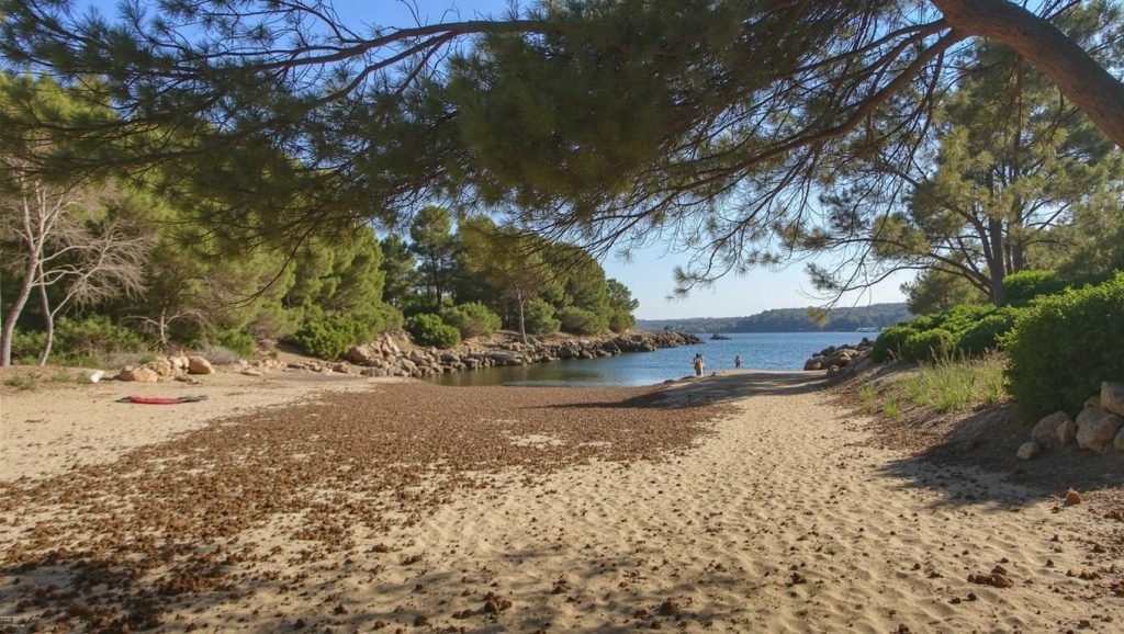 Panorámica de Cala Mondragó con cielo despejado, Santanyí