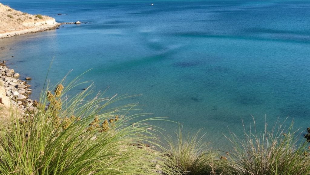 Cala Mosca — foto 1 de 6