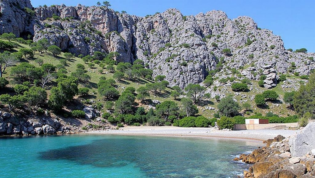 Playa Murta desde la arena, Pollença, Mallorca