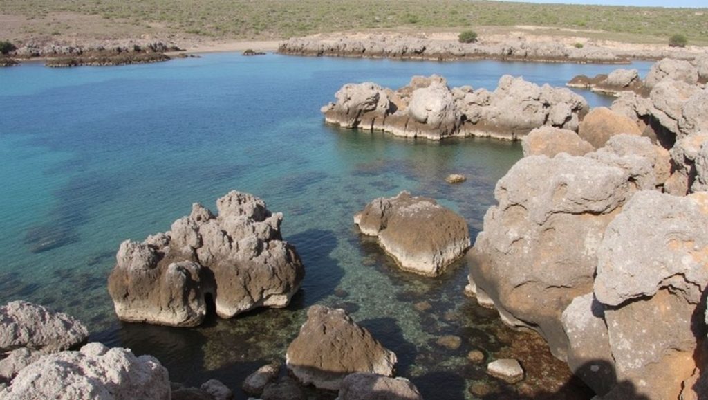 Cala Viola — foto 5 de 6