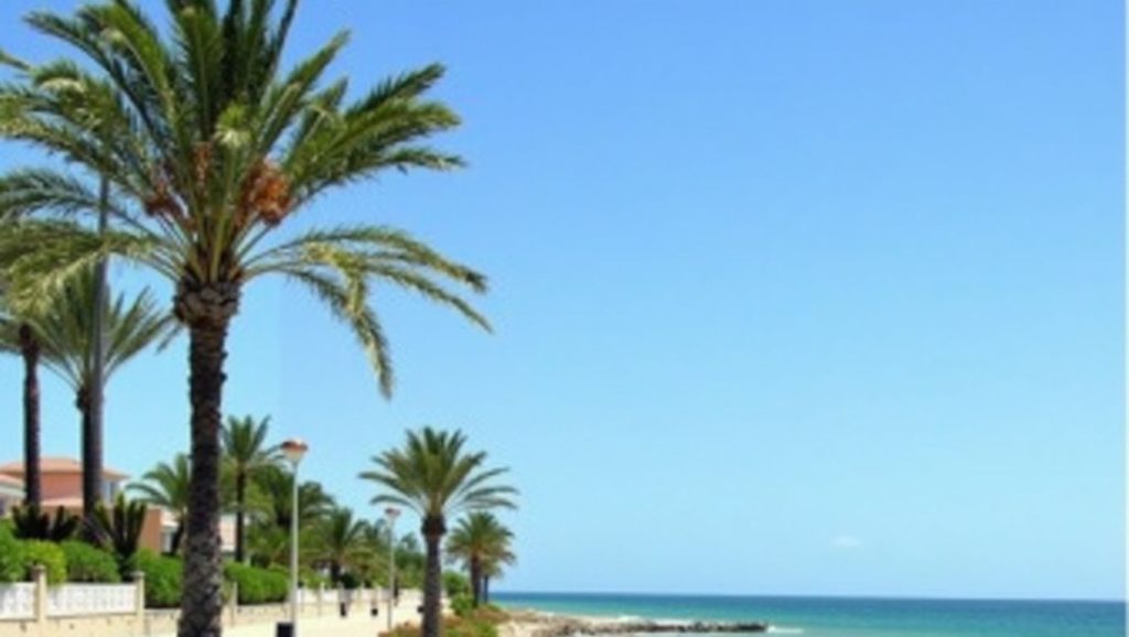 Calas del Este — foto 6 de 6