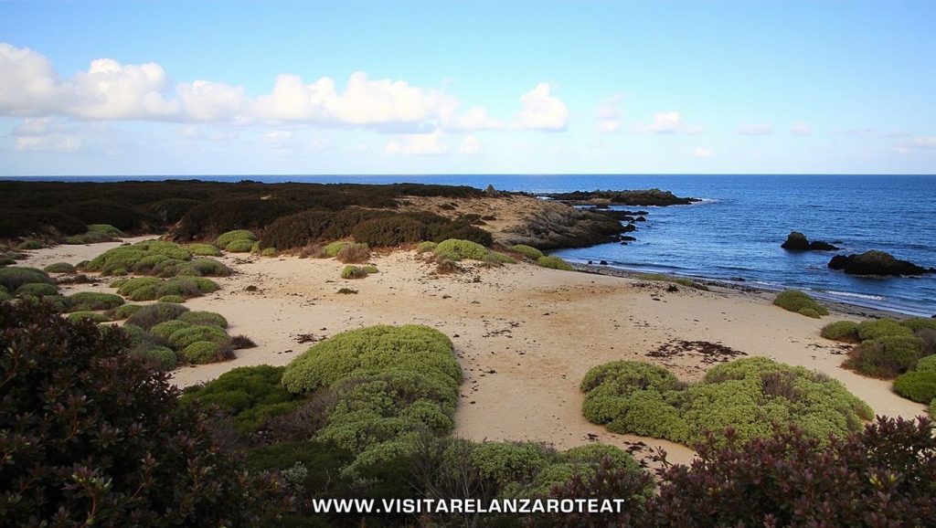 Aguas de Caleta del Burro en Haría (Lanzarote)