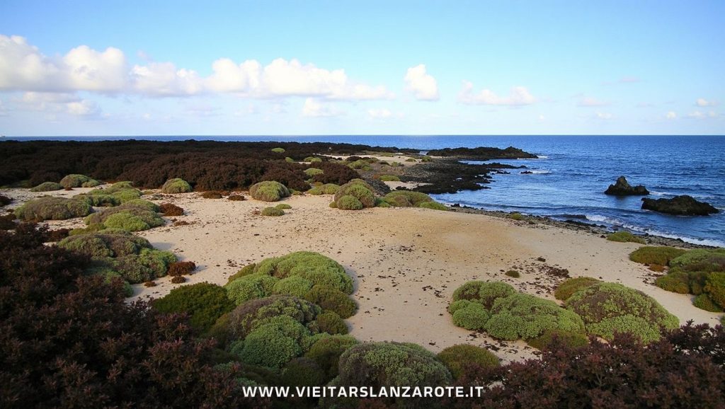 Aguas de Caleta del Guincho en Haría (Lanzarote)