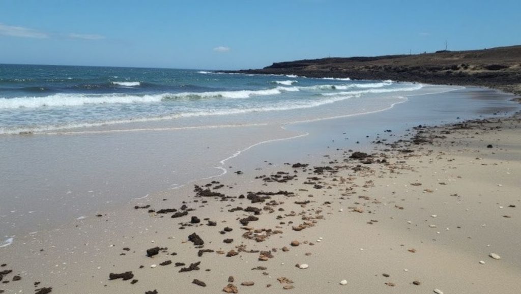 Caletillas — foto 1 de 6