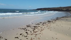 Caletillas (La Oliva, Fuerteventura)