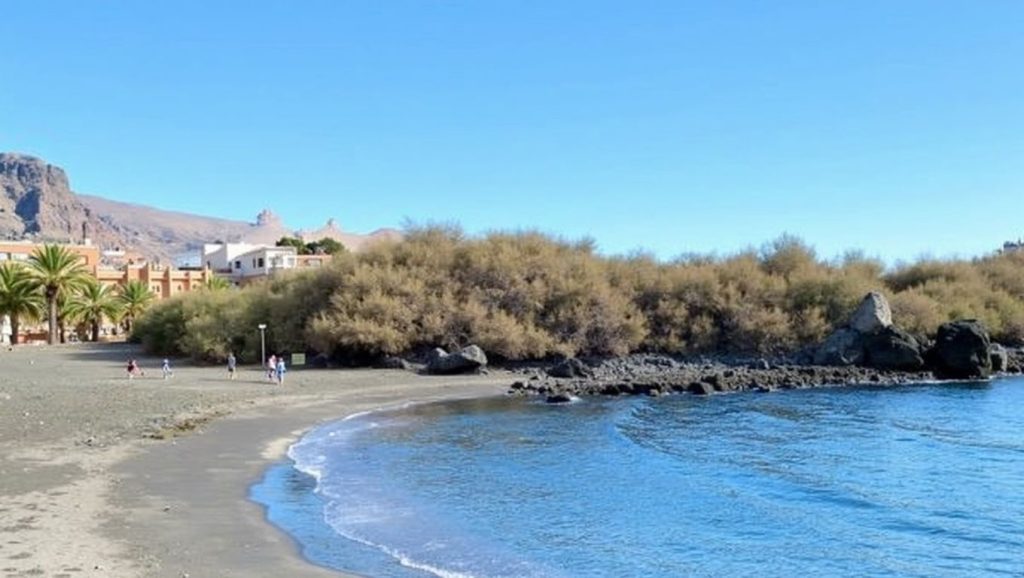 Arena de Charco del Conde, Valle Gran Rey (La Gomera)