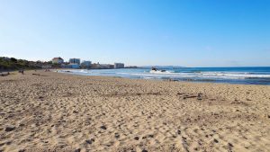 Ciutat Jardí (Palma, Mallorca)