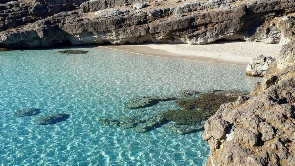 es Rinconot — foto 4 de 6