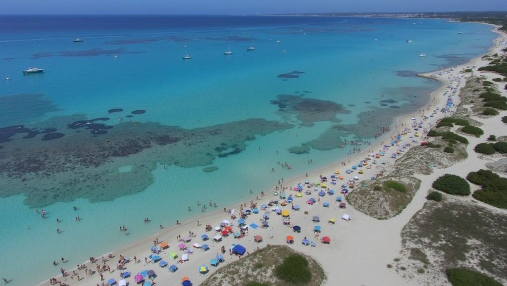 Vista de Es Trenc desde la orilla, Campos