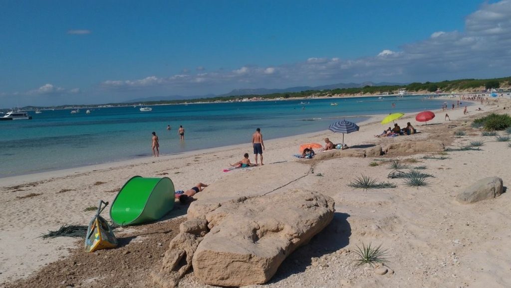 Acceso a Es Trenc desde el aparcamiento, Campos