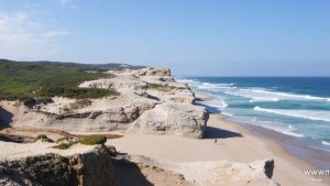 Praia do Rei Cortiço