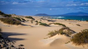 Dunas de Corralejo