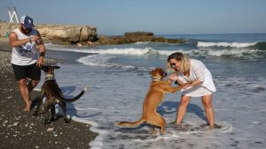 Playa Para Perros de Estepona